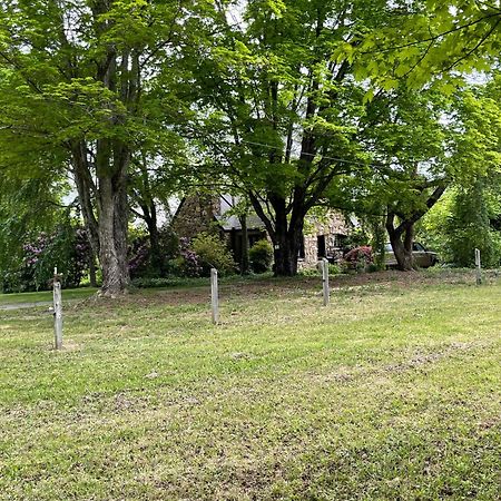 Asheville Urban Farmhouse Entire Home 4 Mi To Dt المظهر الخارجي الصورة
