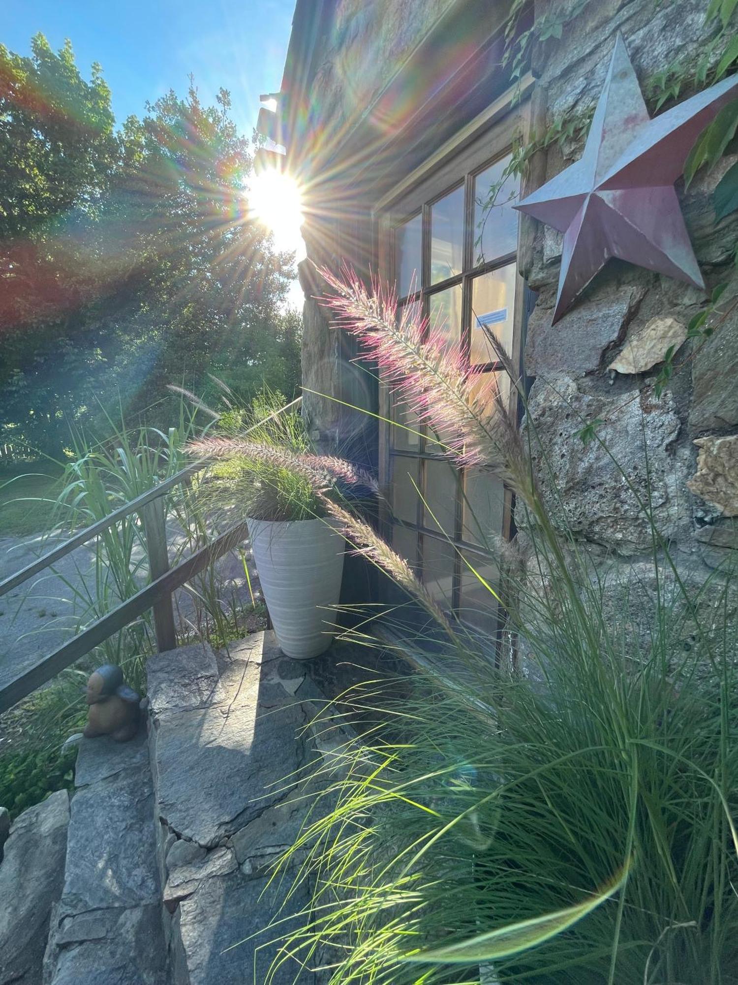 Asheville Urban Farmhouse Entire Home 4 Mi To Dt المظهر الخارجي الصورة